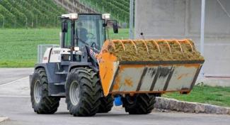 Wielladers Terex TL 260