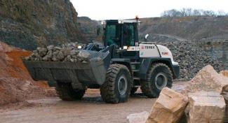 Wielladers Terex TL 310