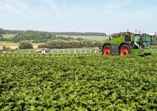 Zelfrijdende veldspuiten Fendt Rogator 655