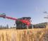Case IH AF11