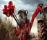 Combine maaidorsers Case IH Astoft 9900 DA