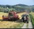 Case IH CF 60 Cross Flow