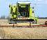 Claas Dominator 105