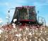 Combine maaidorsers Case IH Module Express 635