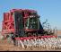 Combine maaidorsers Case IH Module Express 635