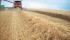 Combine maaidorsers Case IH Axial Flow 8120