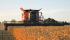 Combine maaidorsers Case IH Axial Flow 8120