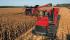 Combine maaidorsers Case IH Axial Flow 8120