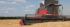 Combine maaidorsers Massey Ferguson Centora 7382