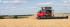 Combine maaidorsers Massey Ferguson Delta 9380