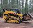 Schrankladers Caterpillar 289C