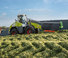 Compacte wielladers Claas Torion 1177