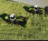 Compacte wielladers Claas Torion 1913