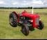 Massey Ferguson 35