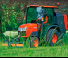 Voertuigen Compacttrekkers Kubota ST341-C