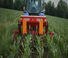 Cultivatoren Maschio HP-4