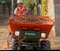 Wieldumpers Ausa D 120 AHG