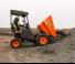 Wieldumpers Ausa D 175 RMS