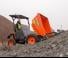 Wieldumpers Ausa D 175 RMS