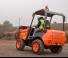 Wieldumpers Ausa D 201 RHS