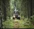 Bosbouwmachines Forwarders Ponsse Bison