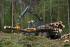 Bosbouwmachines Forwarders Ponsse Buffalo