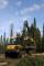 Bosbouwmachines Forwarders Ponsse Elk