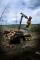Bosbouwmachines Forwarders Ponsse Gazelle