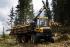 Bosbouwmachines Forwarders Ponsse Gazelle