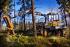 Bosbouwmachines Forwarders Ponsse Wisent