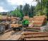 Graafmachines in overslaguitvoering Sennebogen 817M E 