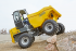 Wieldumpers Wacker Neuson DW100
