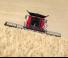 Combine maaidorsers Case IH Axial Flow 7140