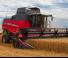 Combine maaidorsers Massey Ferguson Beta 7370
