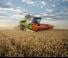 Combine maaidorsers Claas Lexion 6800 