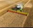 Combine maaidorsers Claas Lexion 760