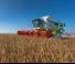 Combine maaidorsers Claas Lexion 770