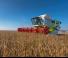 Combine maaidorsers Claas Lexion 770