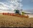 Combine maaidorsers Claas Lexion 7700 