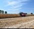 Combine maaidorsers Laverda M 410 