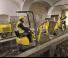 Mini-graafmachines Wacker Neuson 803