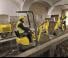 Mini-graafmachines Wacker Neuson 803