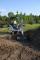 Mini-graafmachines Bobcat E 14