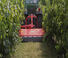 Mulcher grasmaaier Maschio Corazza 190 S