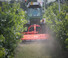 Mulcher grasmaaier Maschio Corazza 210 S