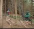 Bosbouwmachines Oogstmachines Neuson Forest 103HVT