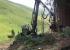 Bosbouwmachines Oogstmachines John Deere 1270 E IT4