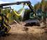 Bosbouwmachines Oogstmachines Neuson Forest 183HVT