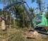 Bosbouwmachines Oogstmachines Neuson Forest 243HV