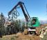 Bosbouwmachines Oogstmachines Neuson Forest 243HV